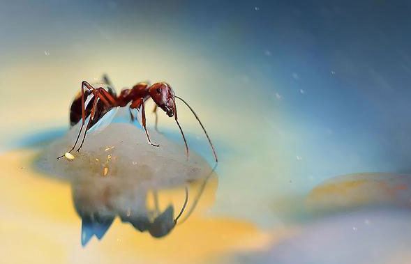 女孩四个字有涵养的名字有哪些 女孩四个字独特好听名字大全