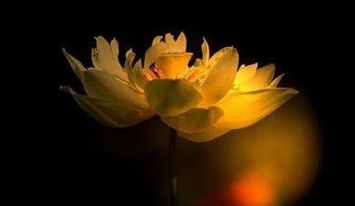 盘点一些能够带来大财运的方法