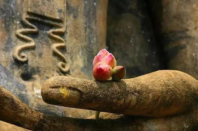 道家养生功法介绍，助你达到健康长寿的目的