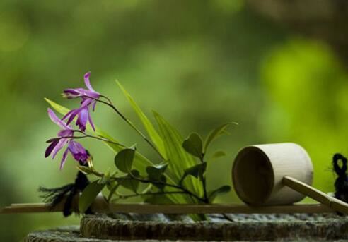 星盘中的木星代表什么意思？