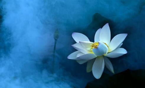 大林木命人的五行缺失怎么回事？