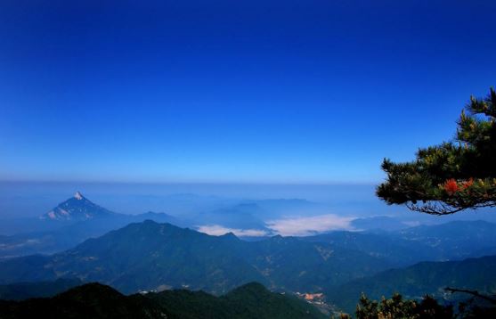 流产胎儿埋在哪里合适，父母该如何赎罪