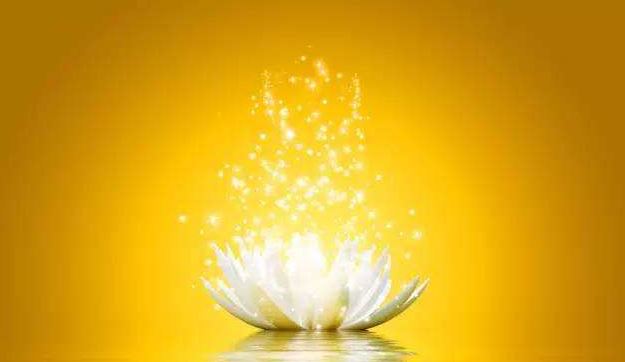 芷萱这个名字的寓意