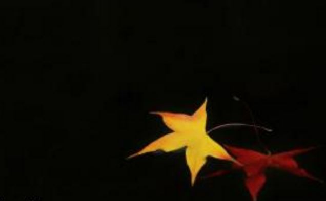 女人梦见奇异天象很漂亮？