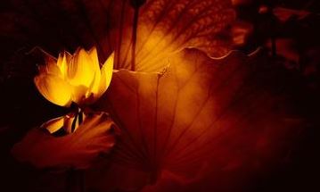 八字算一生财富 八字算财运