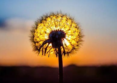 阳宅风水自学27明镜风水详解与案例解析