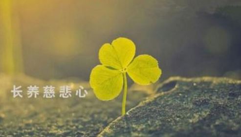 办公室左青龙右北虎摆放什么，办公室青龙白虎怎么弄区分？