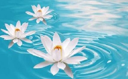 世界上最大的海洋