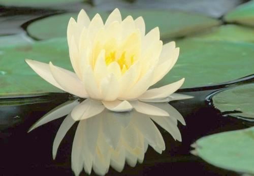 适合双胞胎男孩名字的词语