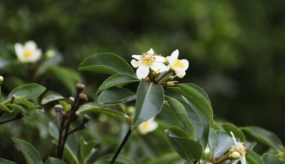 感情挽回秘法第十二天了还没复合 要多久能复合