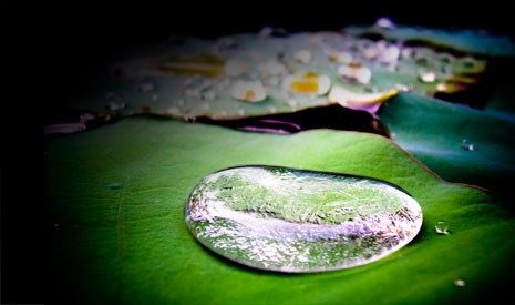 有贵气有后福的女人面相， 双手双脚丰满圆润？