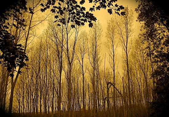 杜姓男孩取名两字大全