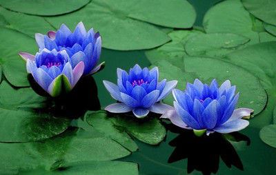 道教服饰讲究和禁忌,进道观着装衣服要讲究?