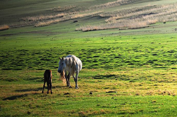 男命日支与时支暗合， 男命日支与时支相合？