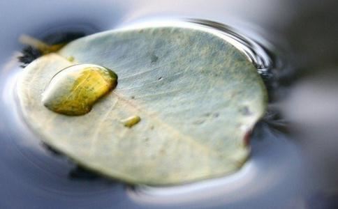 十二星座无法爱下去的理由,不爱了,太累了！