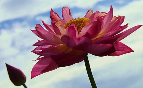 情债还完了 正缘就来了！免费查自己的正缘！