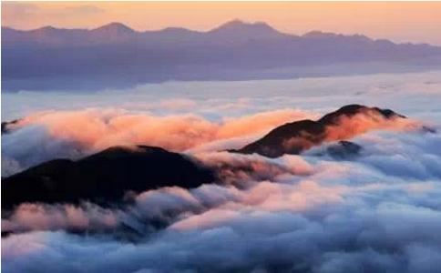 狼牙辟邪是真的吗