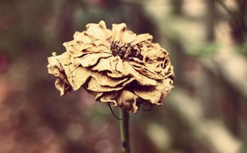 如何超度亡灵,念经的正确方法,如何为亡者超度