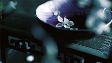 月份与星座十二星座 1～12月份星座表