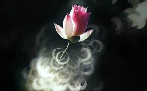 男孩名字五行属金的字