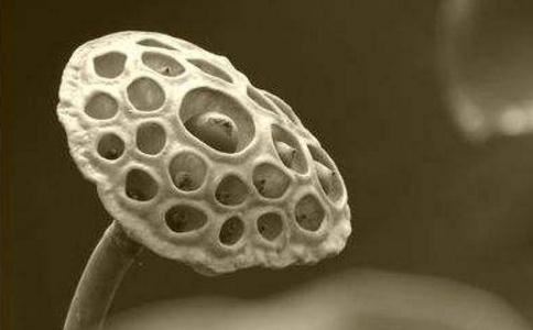 白姓宝宝名字大全男孩