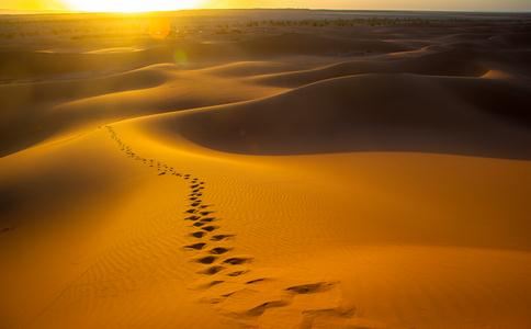 台湾说什么语言，用什么字？