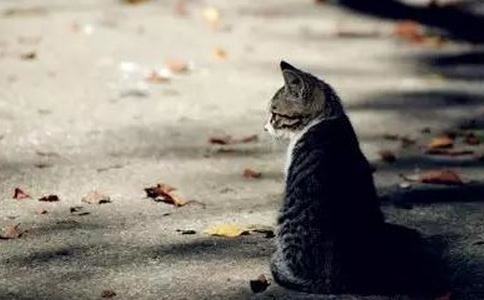 给宝宝起个好名字免费取名