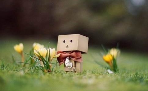 属猪取名字宜用什么字