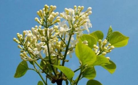 超度牌位怎么写超度的形式