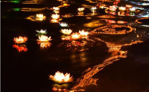 99属兔最佳婚姻配对