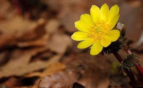 程姓取名男孩两个字大全三个字