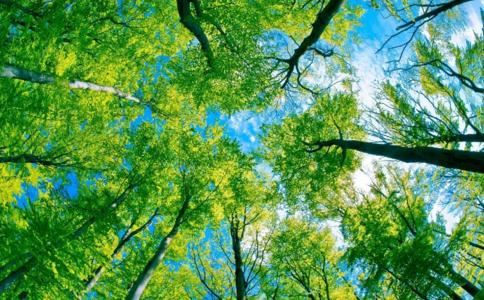 女人佩戴红玛瑙的禁忌，红玛瑙的风水作用有哪些？