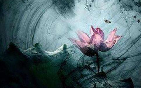 阳历4月4日出生的是什么星座