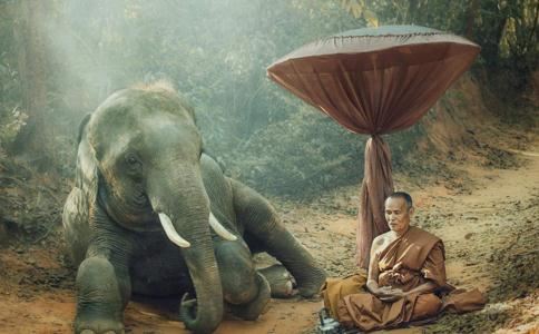 易经28天机算命72句口诀你必须知道！