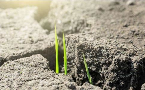 水瓶女和天秤男配对怎么样？