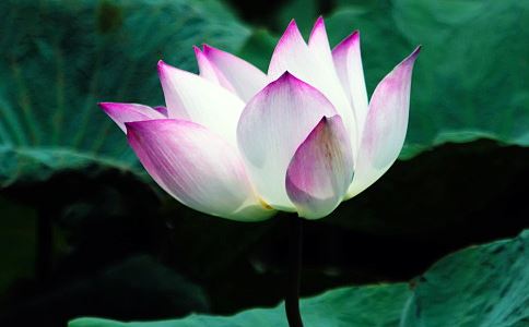 梦见不好的梦，早上要说出来还是不说？