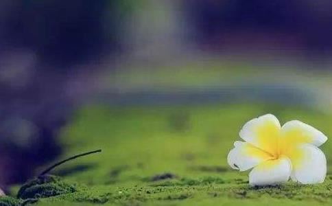 拿活人照片压在哪会倒霉让人乖乖听话？