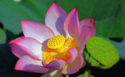 和合术加持效果会很快么 有的几天见效有的人却要半月 竟是因