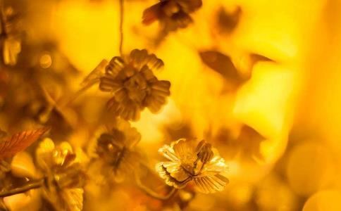 泽字取名男孩寓意牛郎 泽字取名男生寓意好吗