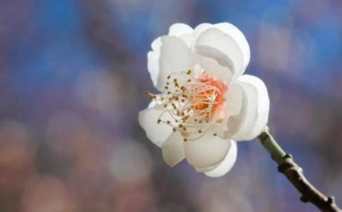 泽字取名的含义是什么,搭配什么字名字寓意更好?