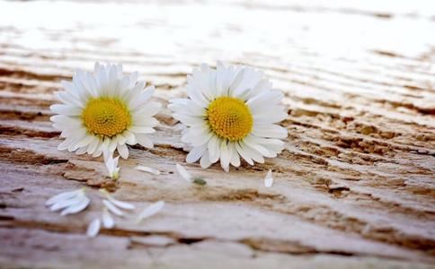 属猴的名字男孩子 属猴的宝宝取名字宜忌