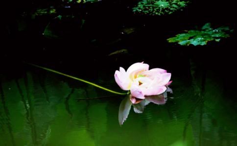 女人近时间财运低迷 3样东西放包包改善财运