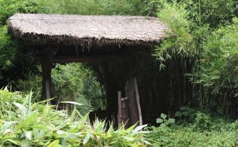 杨姓龙字辈取名