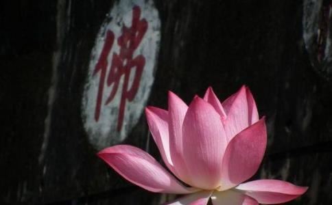 姓刘祖字辈男孩起名大全 姓刘祖字辈男孩起名字