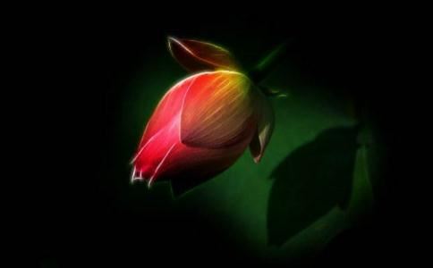 替别人算卦会反噬到自己吗？如何看是不是正缘？