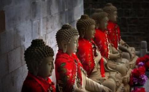 生肖鸡后半生的命运， 婚姻和谐美满财运喜人？