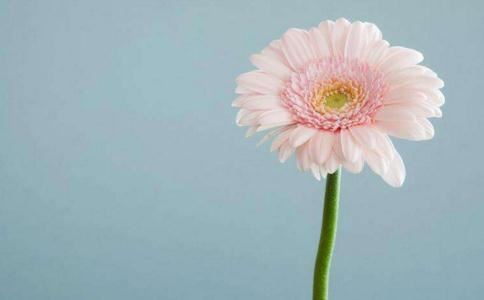 五个斗的女人命运