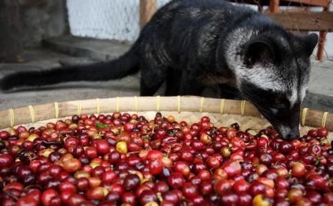 孕妇梦见别人怀孕是什么意思？孕妇梦见别人怀孕的吉凶