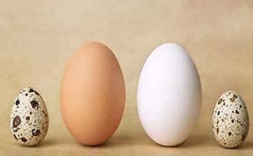 中国古代四大民间传说分别是什么？