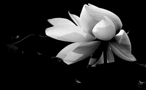 夫妻改运法,常用的有这2种,能帮助婚姻家庭